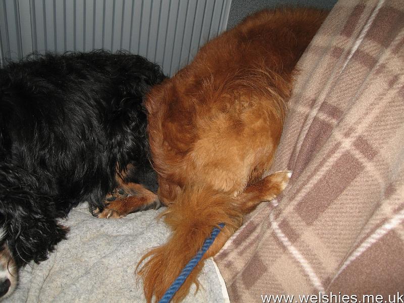 2011-09-05 13.JPG - Trying to escape!